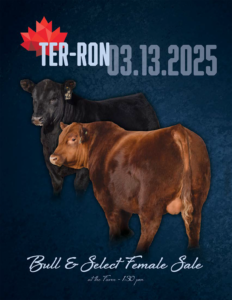 Ter-Ron Bull Sale 2025-1
