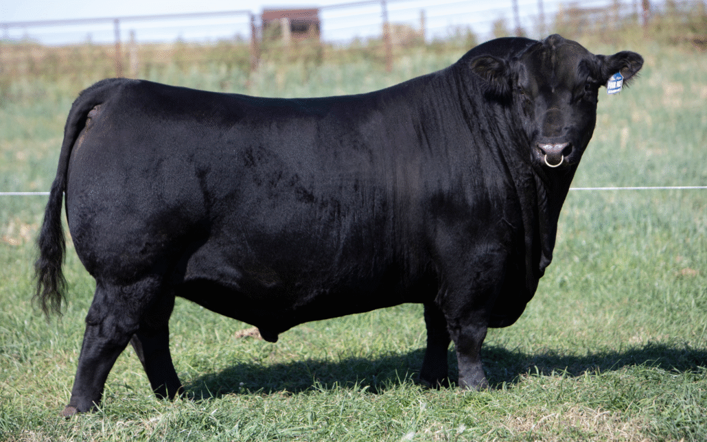 Feature Shot of Greenwood Four Mile 27J