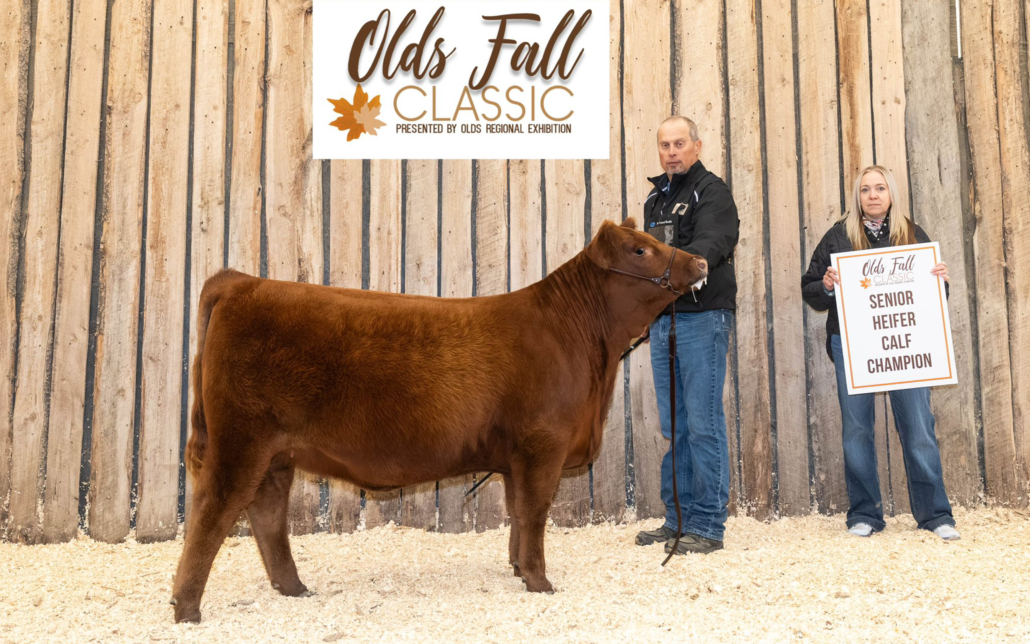 RED TER-RON RENEE 43N