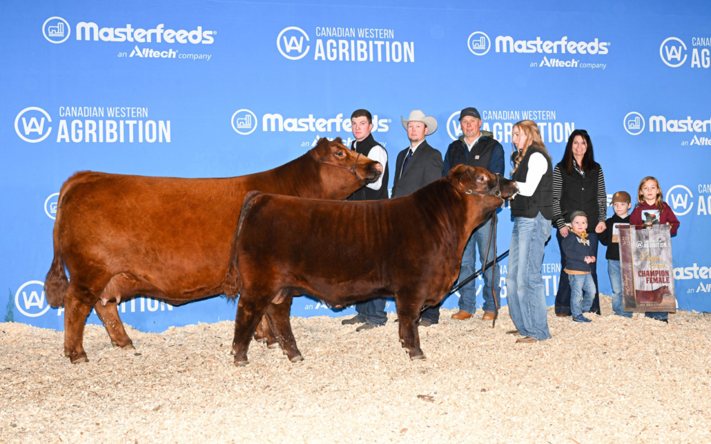 Red Ter-Ron 6 Mile Misty 131H with calf Red Ter-Ron 6 Mile Lineman 75N